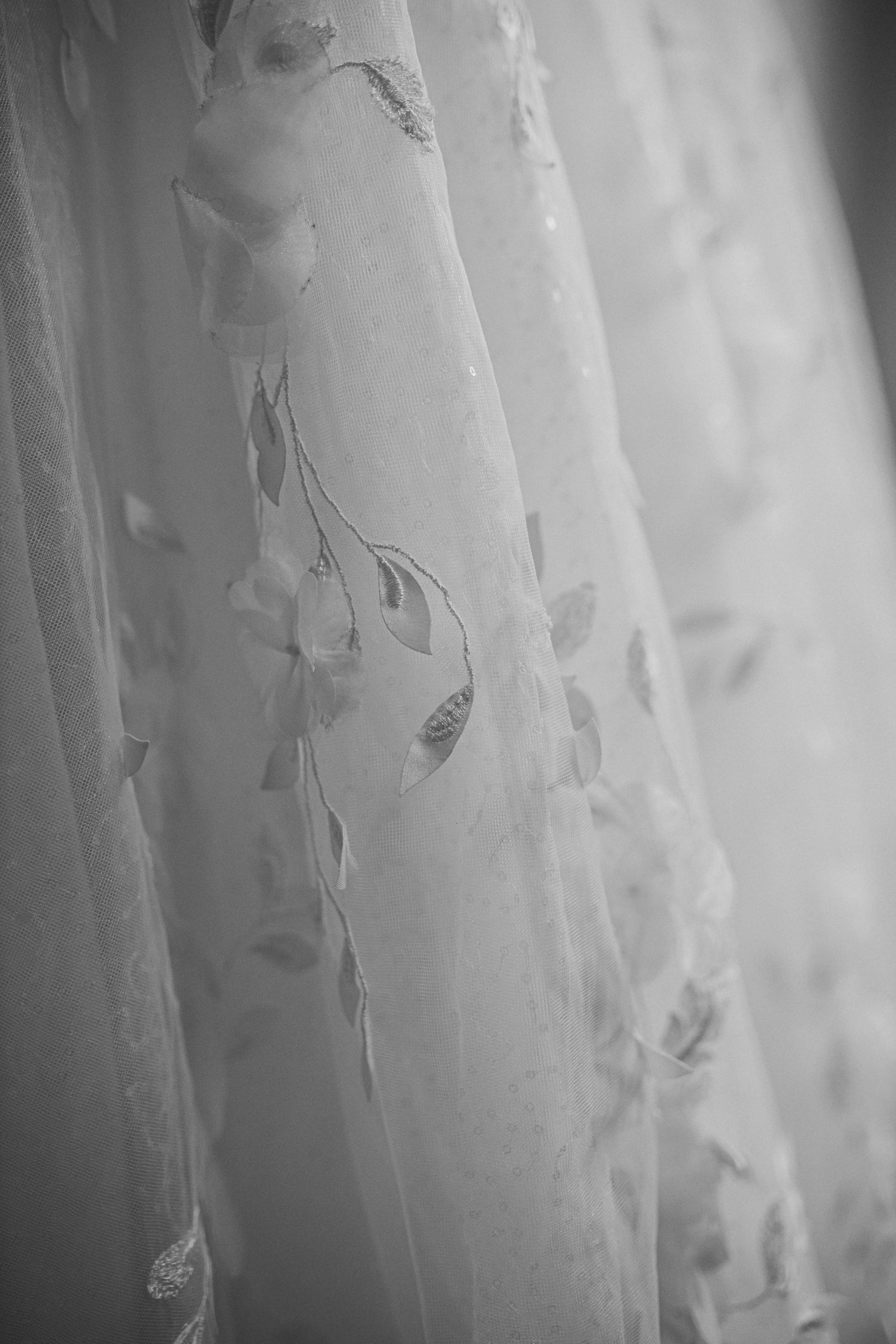 Photographe professionnel Toulouse